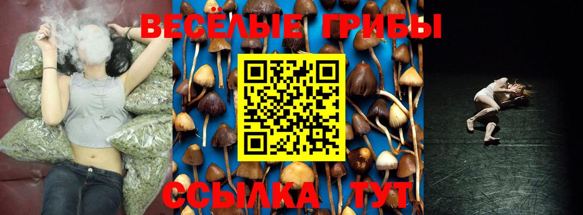 Волжск  Галлюциногенные грибы Magic Shrooms  Псилоцибиновые грибы ЛСД  Вход с VPN 